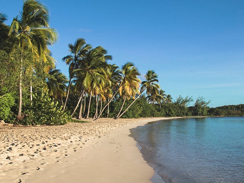 La plage de la Grande Anse des Salines