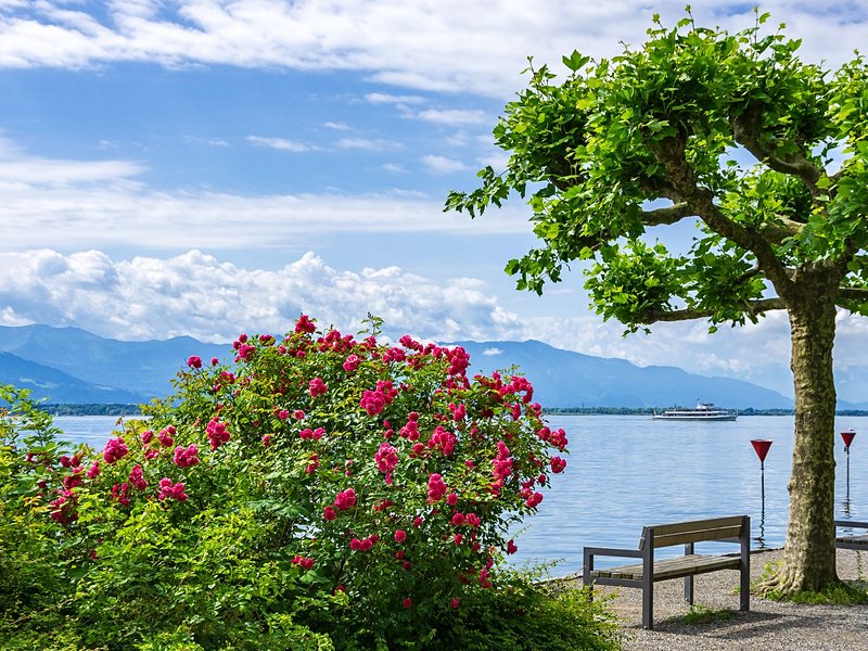 Lac de Constance