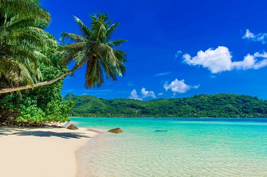 Anse A La Mouche