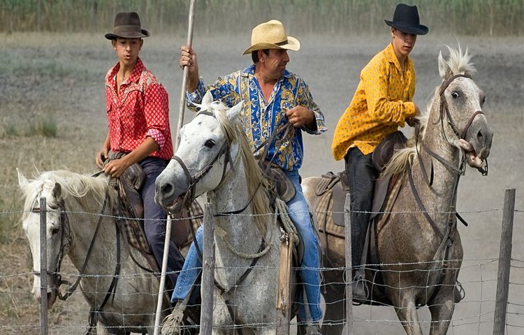 Les Gardians de Camargue