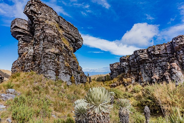 Paramo d'Océta 4