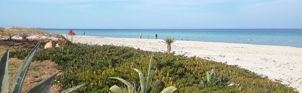 Les plages de la Mahdia