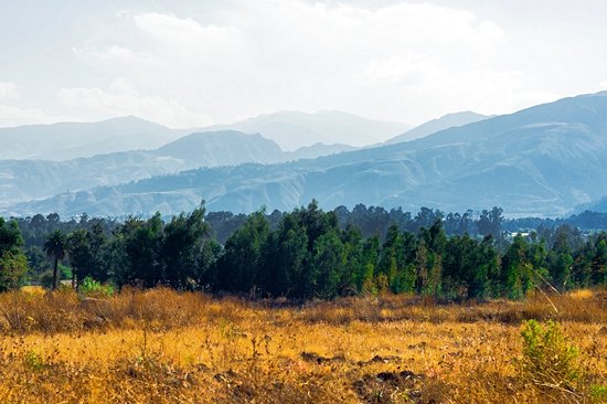 Parc national Tunari