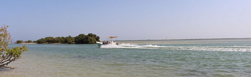 Mangroves d’Al Thakira