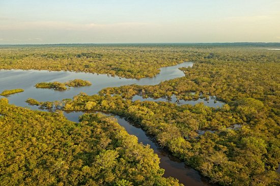Réserve de Cuyabeno