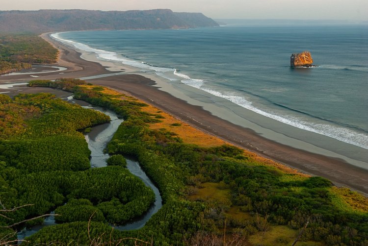 Sauvage et repliée : Playa Naranjo