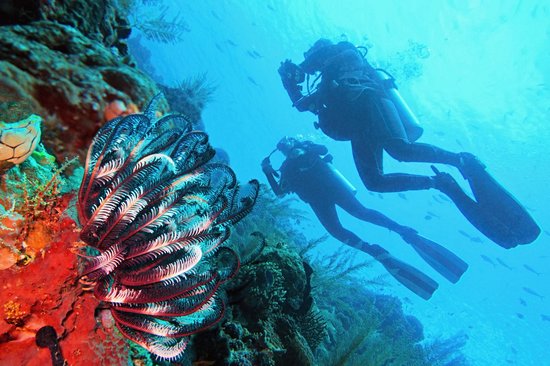 Raja Ampat, Papouasie Occidentale