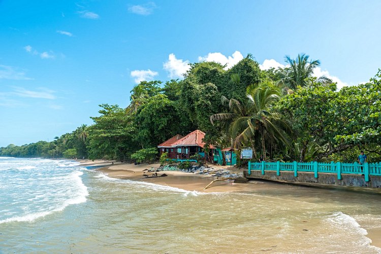 Le Parque Nacional Cahuita 2