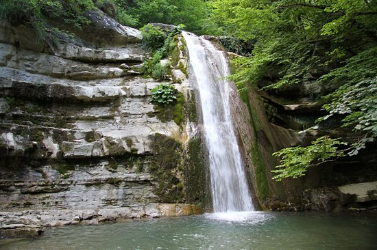 Parc national de la Forêt Casentinesi