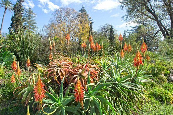 Jardins de Palheiro