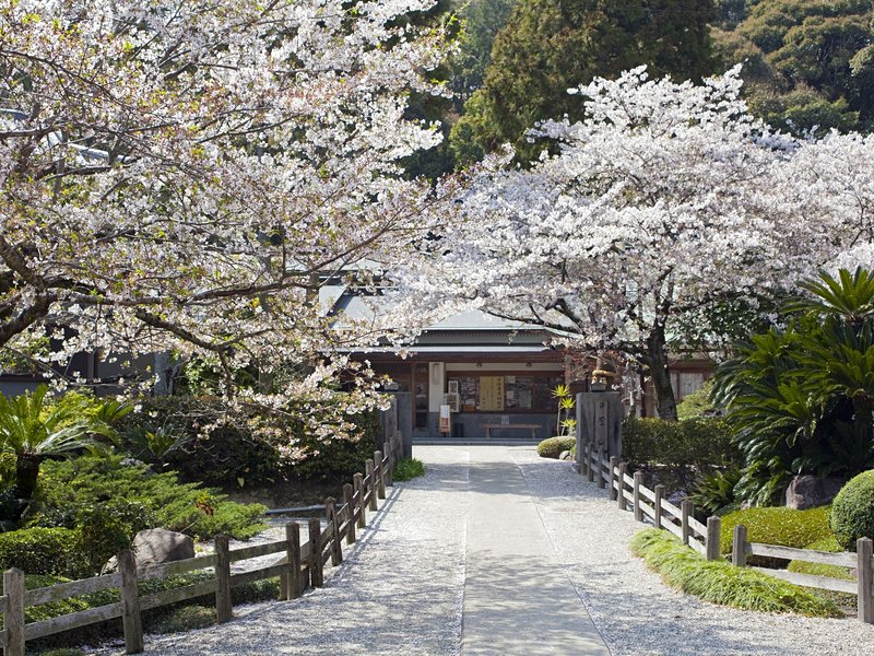 Le pèlerinage de Shikoku