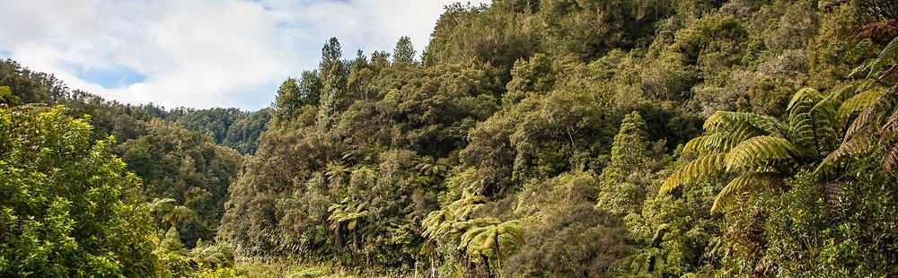 Forgotten World Highway