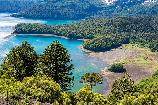 Parc national Conguillío