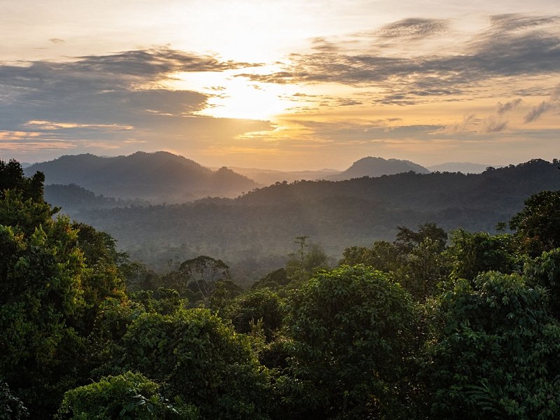 Danum Valley