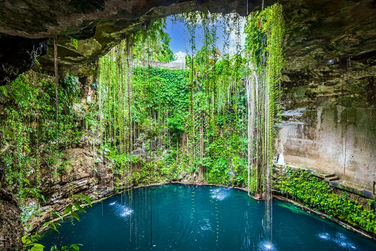 2. Les cenotes du Yucatan au Mexique 4