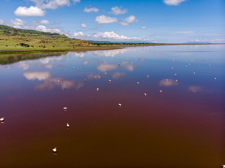 Lac Natron – Tanzanie 2