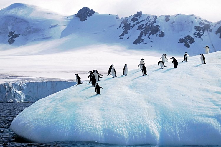Antarctique