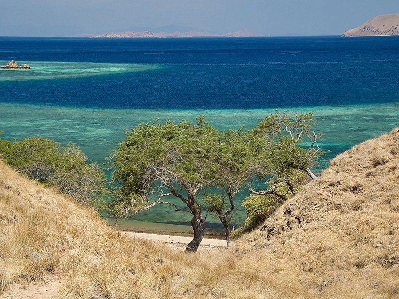 L'île de Rinca