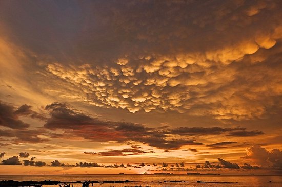 Profiter des plages de l'île