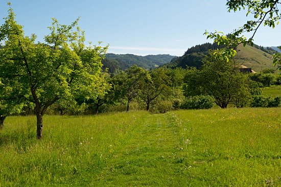 Gengenbach