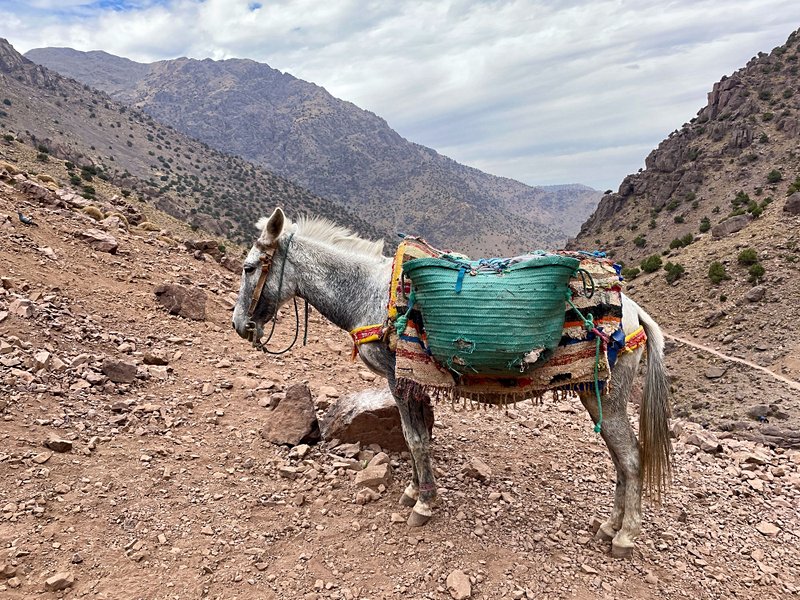 Djebel Toubkal