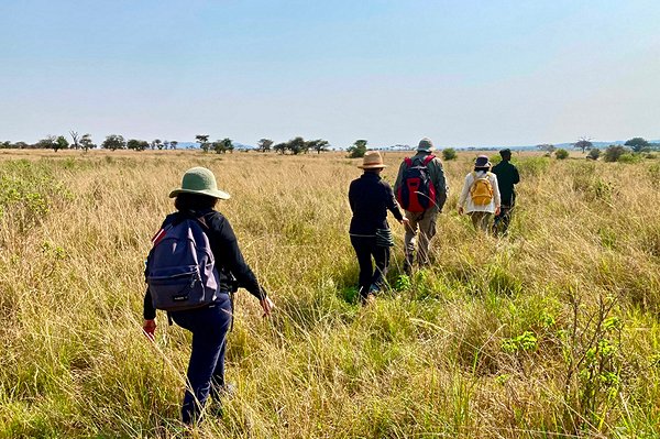 Connaître l'adrénaline d'un safari à pied