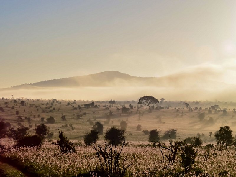 Parcs nationaux de Tsavo est et Tsavo ouest