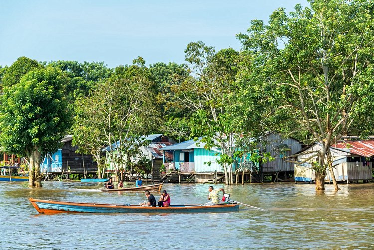 Leticia et la forêt amazonienne