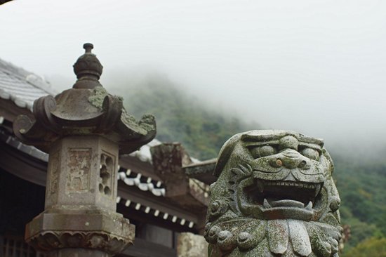 Arita