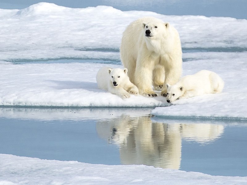 Svalbard