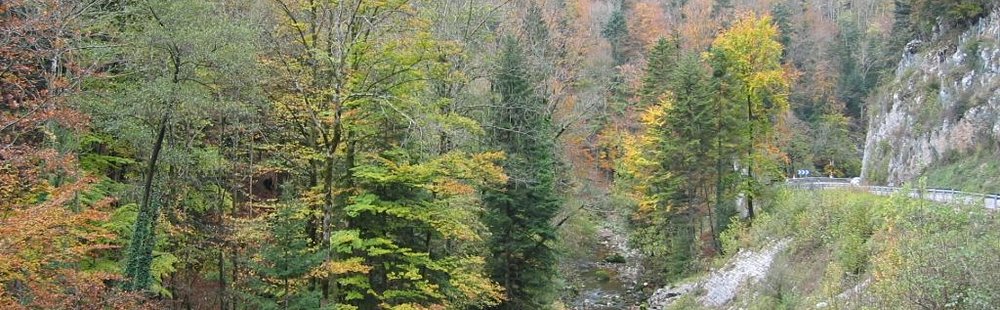 La Haute vallée de la Saine