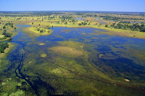 Moremi Game Reserve