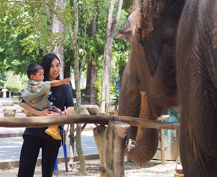 Thaïlande avec enfants : que voir, que visiter ?