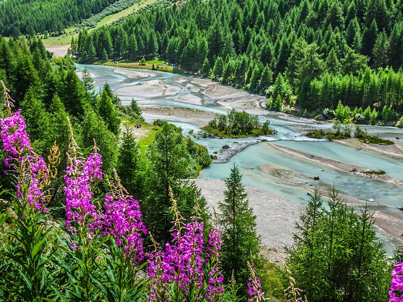 Pontresina