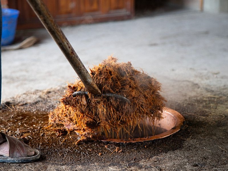 Visiter une palenque