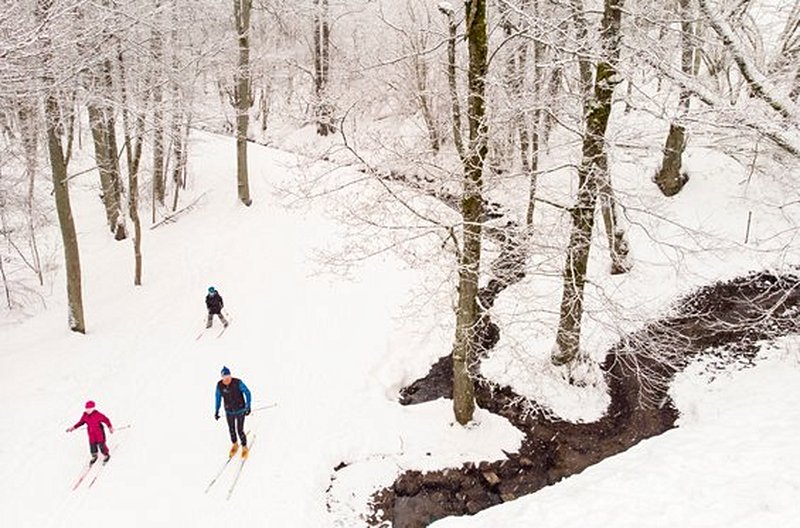 Faire du ski à Otepää