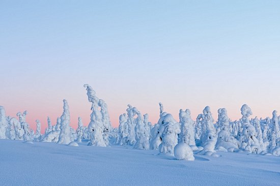 Parc national du Riisitunturi