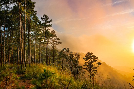 Parc national de Doi Suthep-Pui