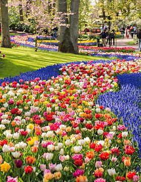 Les plus beaux lieux des Pays-Bas
