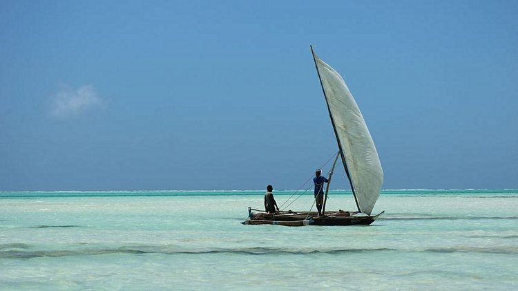Faire une balade à bord d’un voilier traditionnel, le dhow