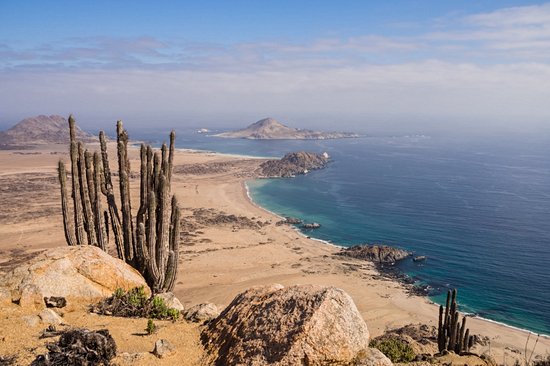 Parc national Pan de Azúcar