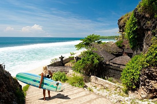 Surfer