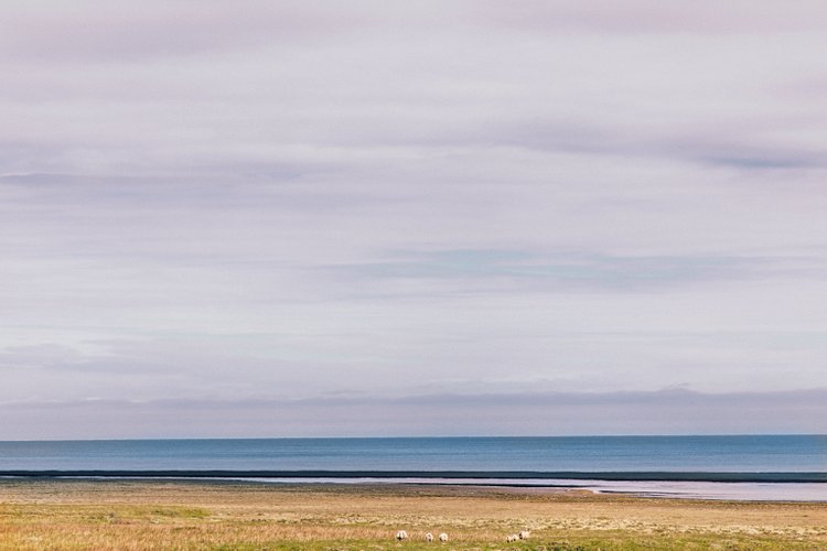 islande-paysage-2