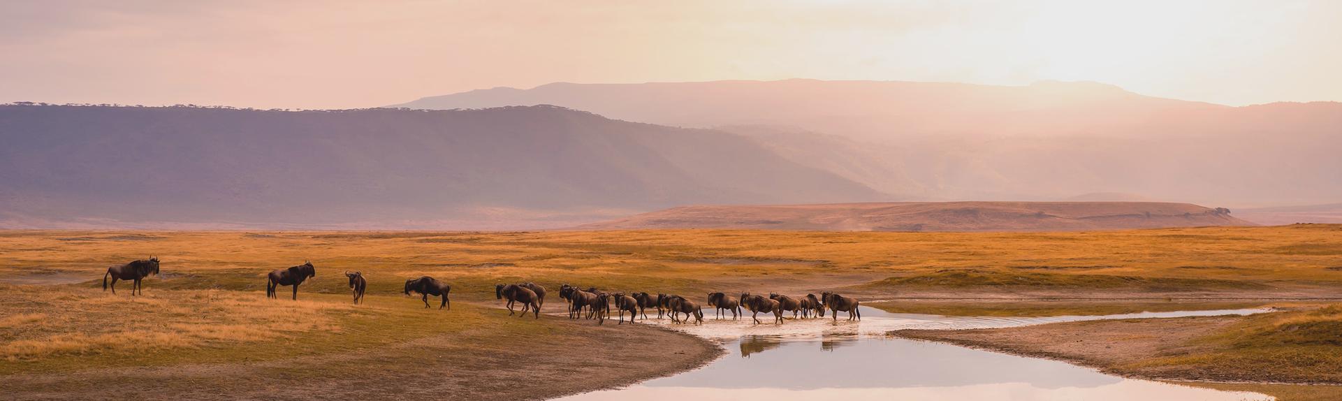 Tanzanie