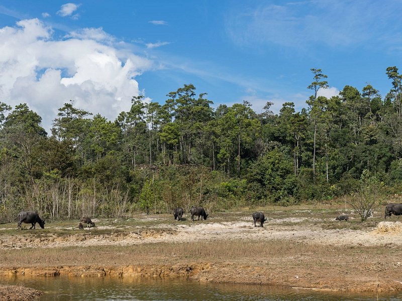 Phou Khao Khouay