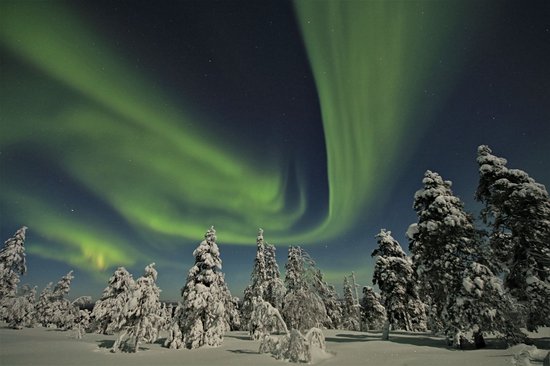 Parc national de Pyhä-Luosto