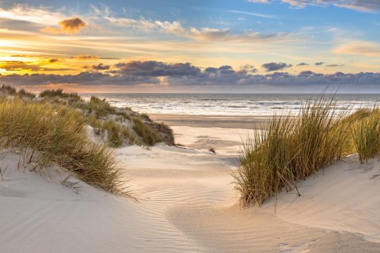 Mer des Wadden et îles de la Frise