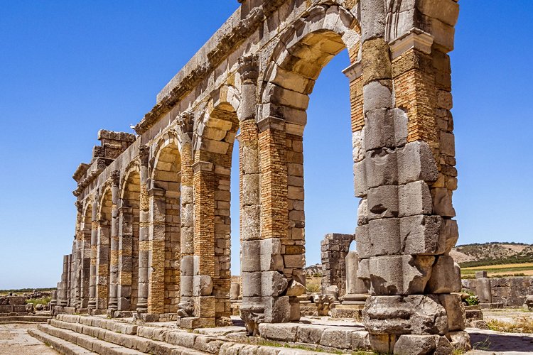 Volubilis 3