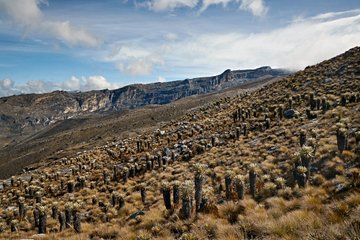 Parc national de la Sierra Nevada del Cocuy