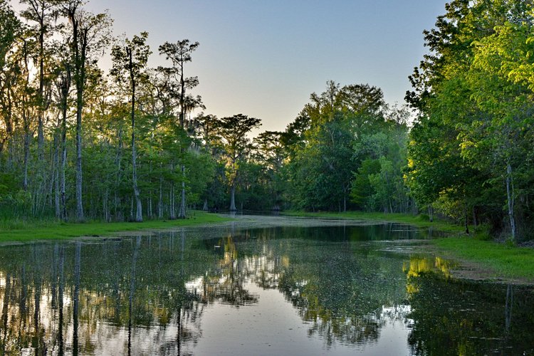 L’extrême sud de la Louisiane 2